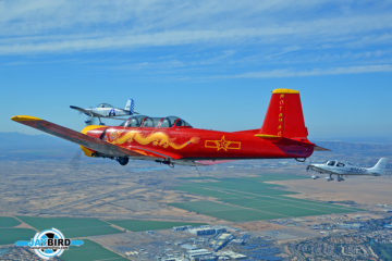 For sale: Nanchang CJ-6A